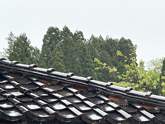 2026.2.19-kanazawashi-ssama-go-01.jpg
