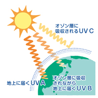 UVプロテクトクリアー構造
