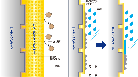 UVプロテクトクリヤー防カビ・防藻性