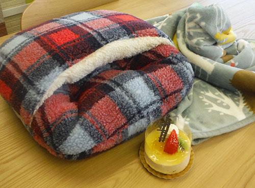 リック・プロ 金沢市 社内イベント